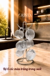 BỘ 6 CỐC DÁNG BẦU VÂN NGANG CÓ QUAI 350ML - 2 Màu CRISTA HOME